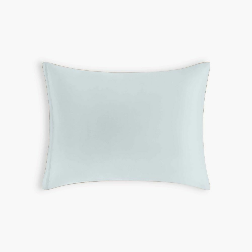 Dino Dreams Standard Pillowcase Set - Sage