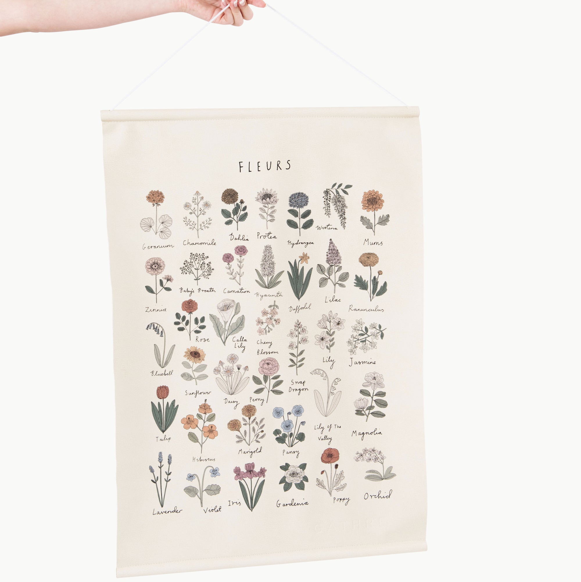 Wall Poster - Flowers