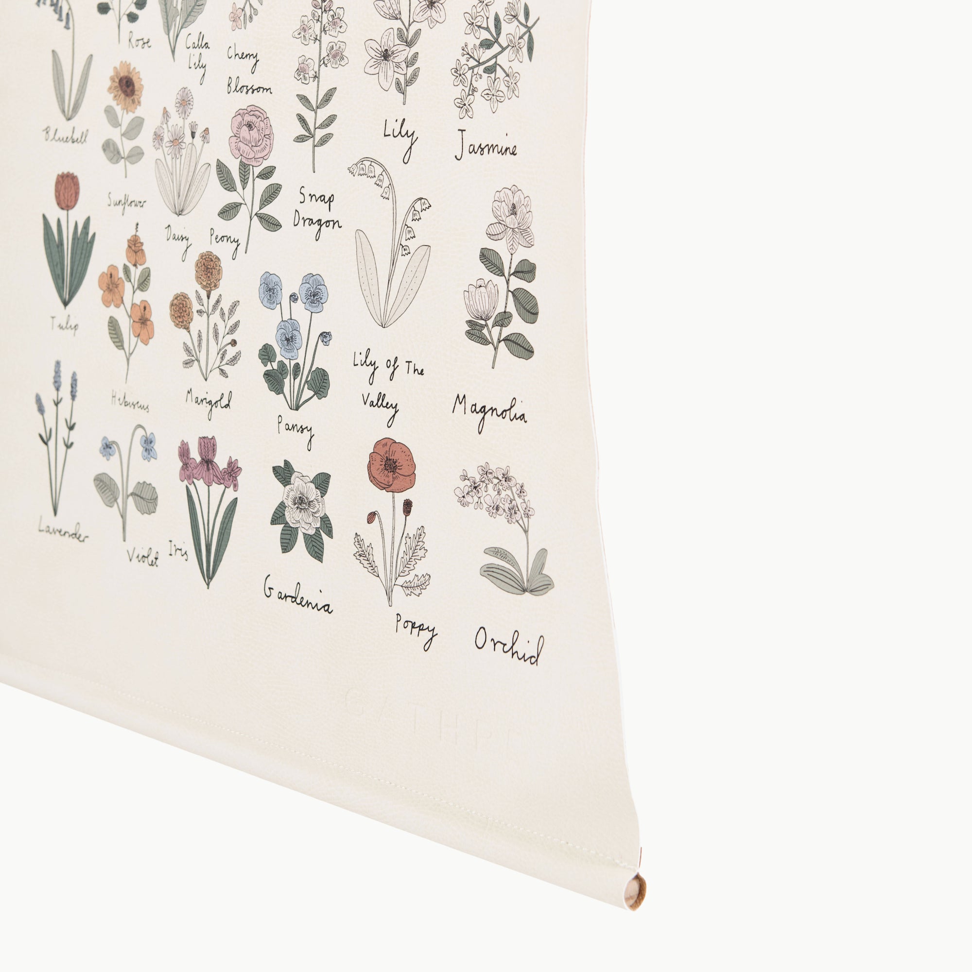 Wall Poster - Flowers