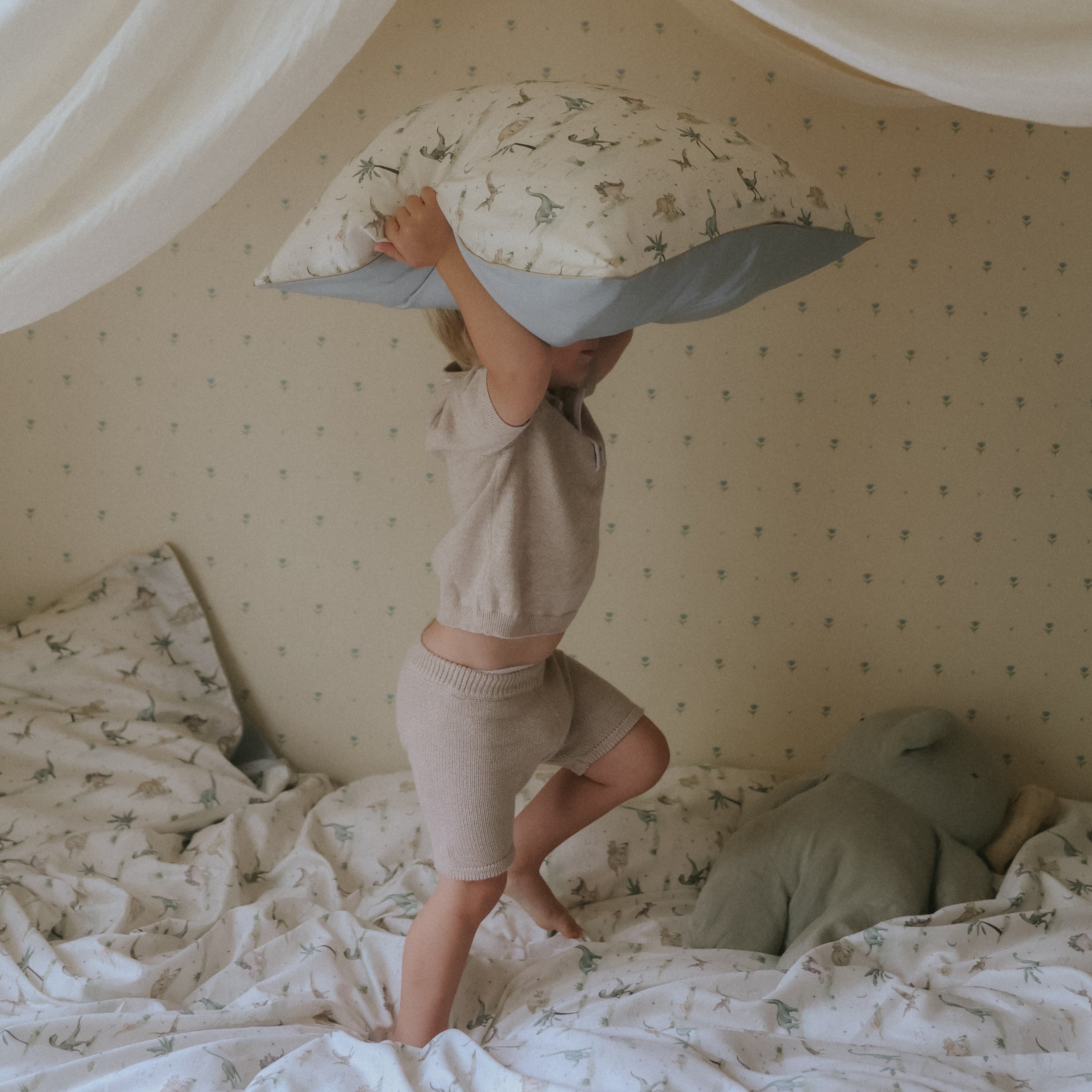 Dino Dreams Standard Pillowcase Set - Sage