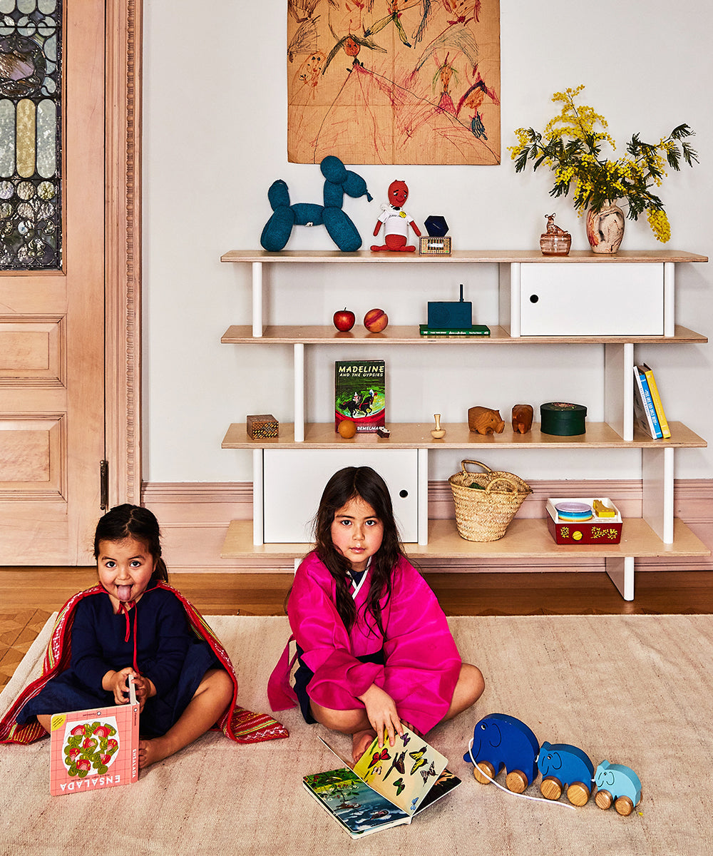 Mini Library Book Shelf